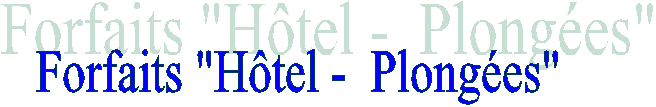 Forfaits "H�tel -  Plong�es"