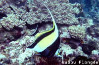 Poisson