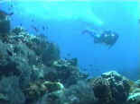 Le bord d'un piton