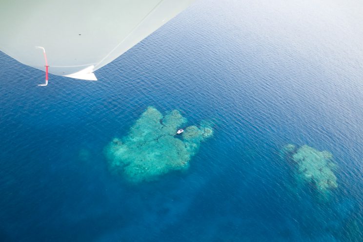 Sites de Plongée : Hiengu et Fonti Reef