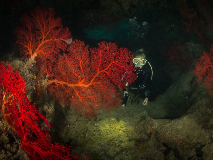 Grotte de Donga Hienga - Hienghène - Nouvelle Calédonie - Cliquer pour voir en diaporama Grotte de Donga Hienga - Hienghène - Nouvelle Calédonie
