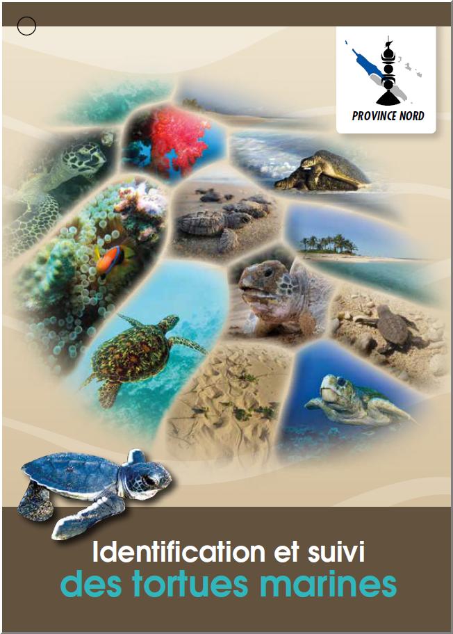 Identification et suivi des tortues marines de Nouvelle Calédonie.