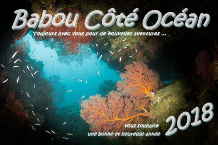 Babou Côté océan vous présente ses meilleurs vœux - Hienghène - Nouvelle Calédonie.