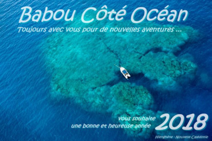 Babou Côté océan vous présente ses meilleurs vœux - Hienghène - Nouvelle Calédonie.