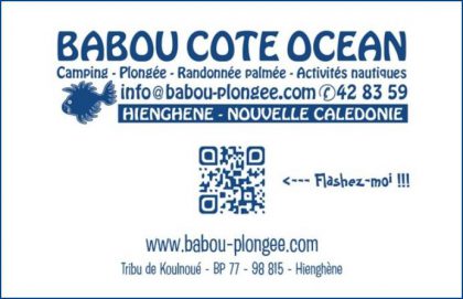 Cartes de visite Babou Côté Océan - Hienghène - Nouvelle Calédonie