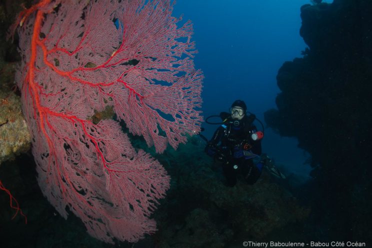 World Adventure Divers en plongée à Hienghène - Nouvelle Calédonie