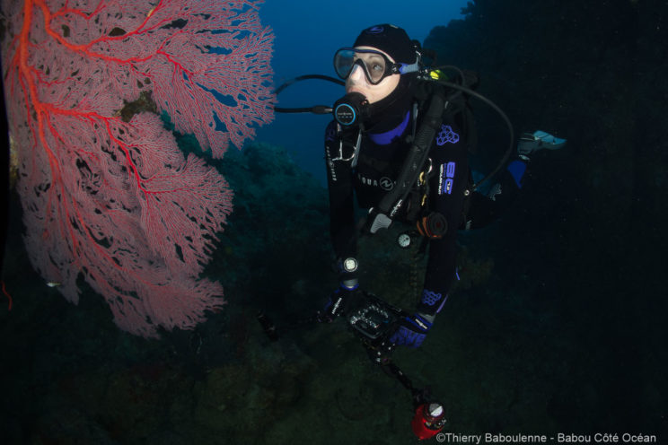 World Adventure Divers en plongée à Hienghène - Nouvelle Calédonie