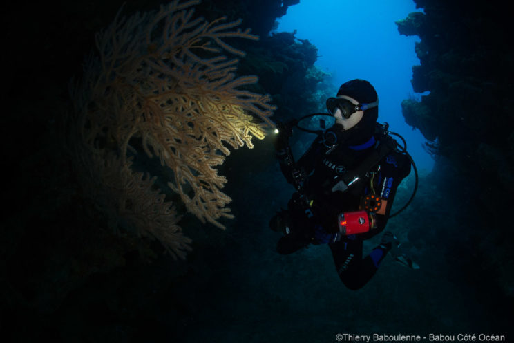 World Adventure Divers en plongée à Hienghène - Nouvelle Calédonie