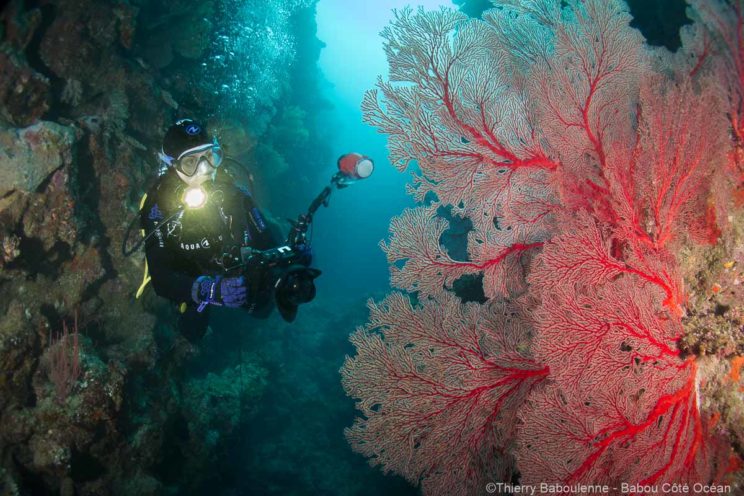 World Adventure Divers en plongée à Hienghène - Nouvelle Calédonie