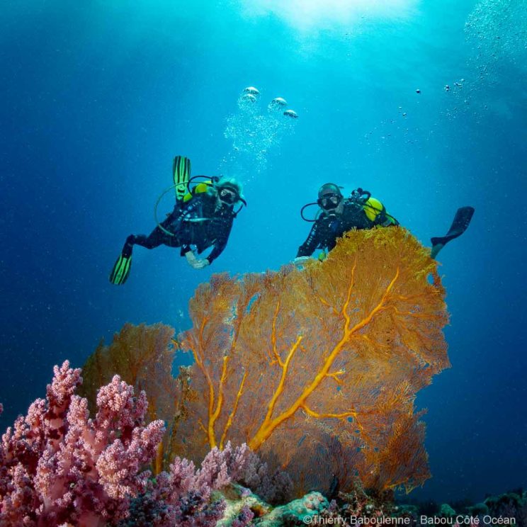 Plongée à Hienghène Nouvelle calédonie avec babou Côté Océan. Photo Thierry Baboulenne