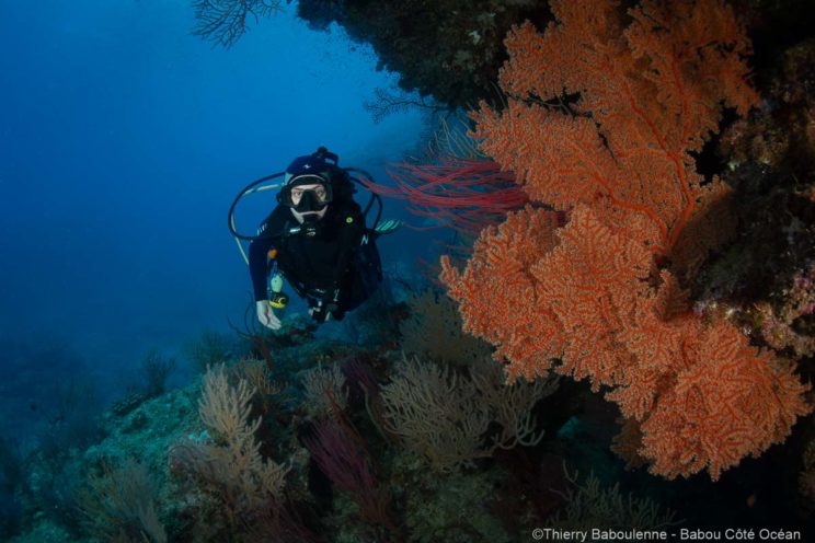 Plongée à Hienghène Nouvelle calédonie avec babou Côté Océan. Photo Thierry Baboulenne