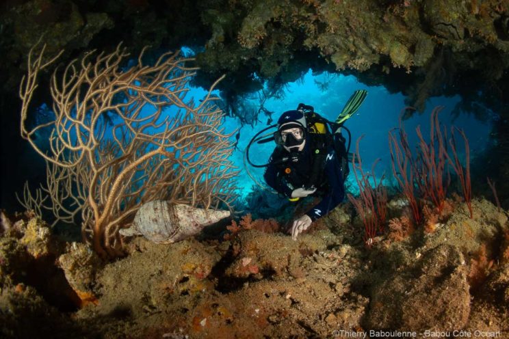 Plongée à Hienghène Nouvelle calédonie avec babou Côté Océan. Photo Thierry Baboulenne