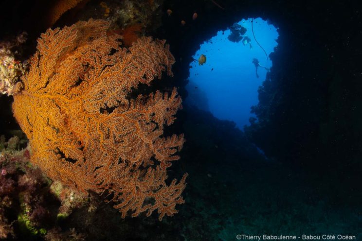 Plonge a Hienghene en Nouvelle Caledonie - Babou Cote Ocean