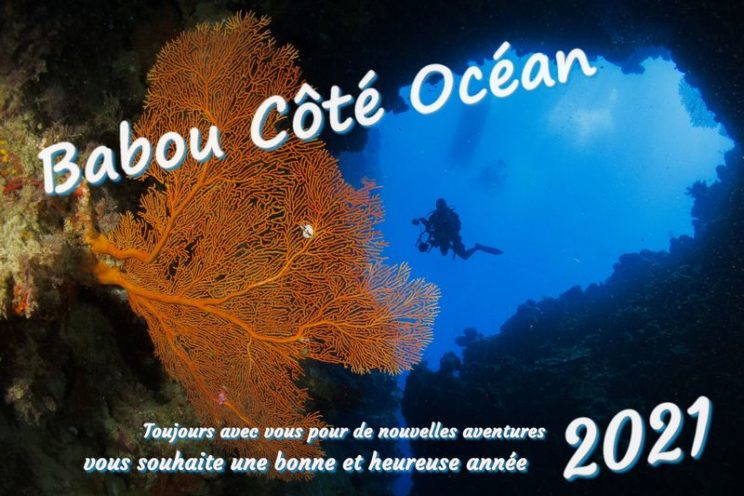 Babou Côté Océan vous souhaite une bonne et heureuse année