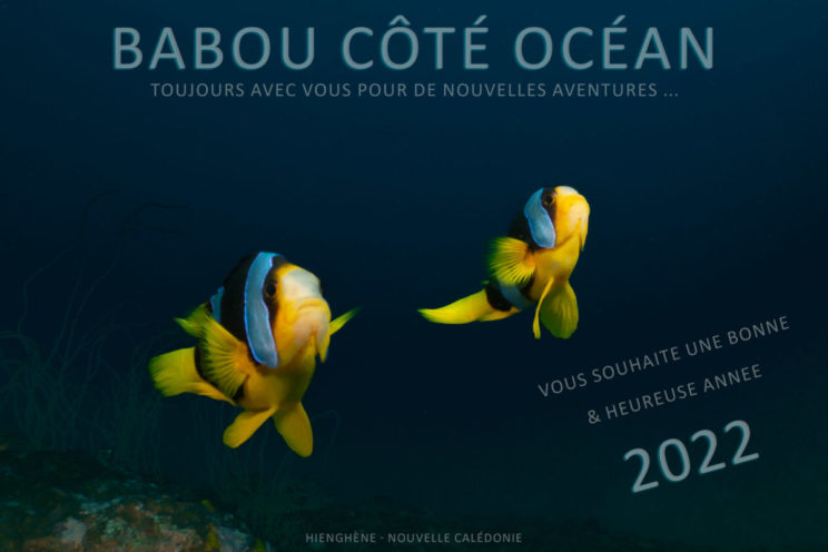 Babou Côté Océan vous souhaite une bonne & heureuse année 2022