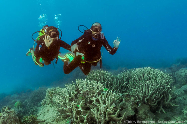 Baptême de plongée avec Babou Côté Océan à Hienghène en Nouvelle Calédonie. Le moniteur fait découvrir leécifs coraliens à son élève.