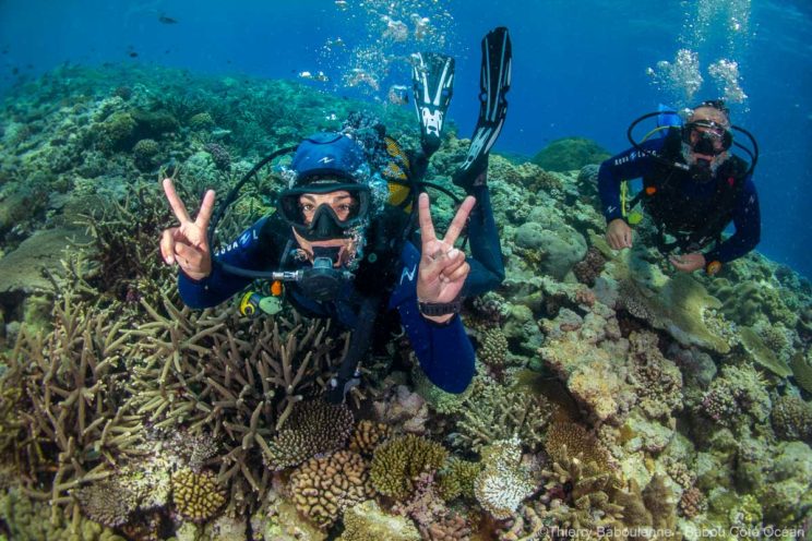 Cours de plongée Hienghène Nouvelle-Calédonie - Babou Côte Océan formation plongeurs sur récif corallien