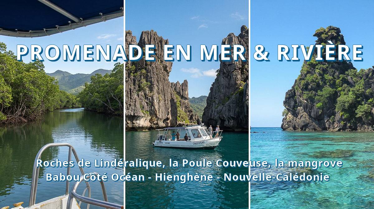 Participez à une incroyable promenade en mer et en rivière à la découverte de la côte, de la baie de Hienghène et de la mangrove