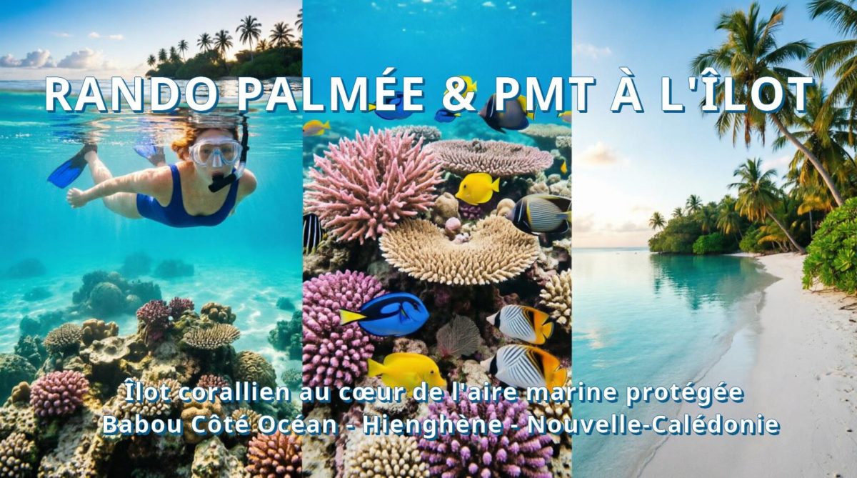Snorkeling et découverte des sentiers sous-marin et botanique de l'îlot Hienga à Hienghène en Nouvelle Calédonie